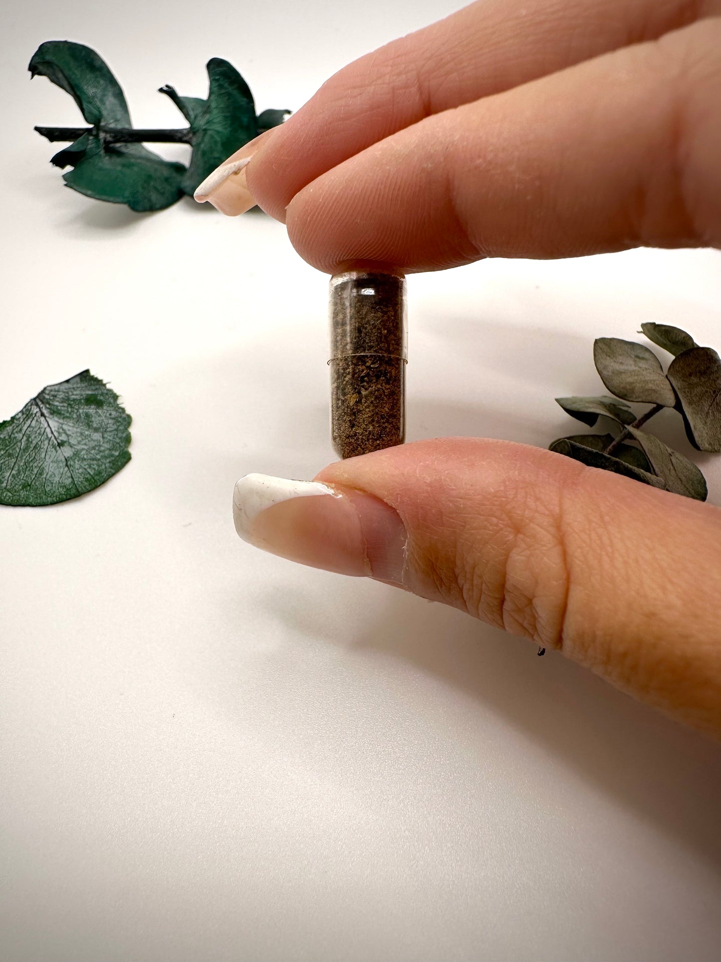 Ajout poudre de placenta