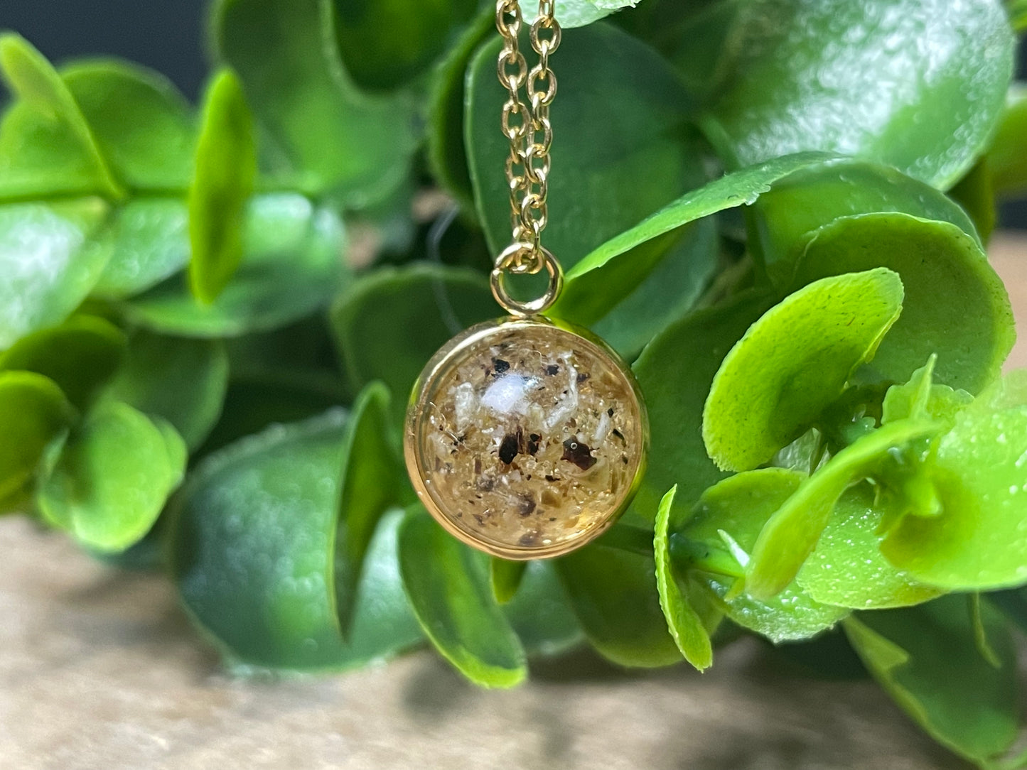 Ajout cordon ombilical